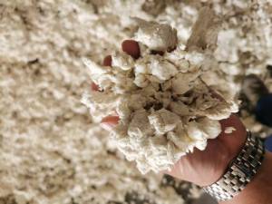 出售白色美纹纸纸浆，水分65%左右