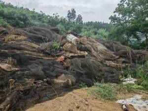 长期出售渔网，现货100吨，货在福建宁德