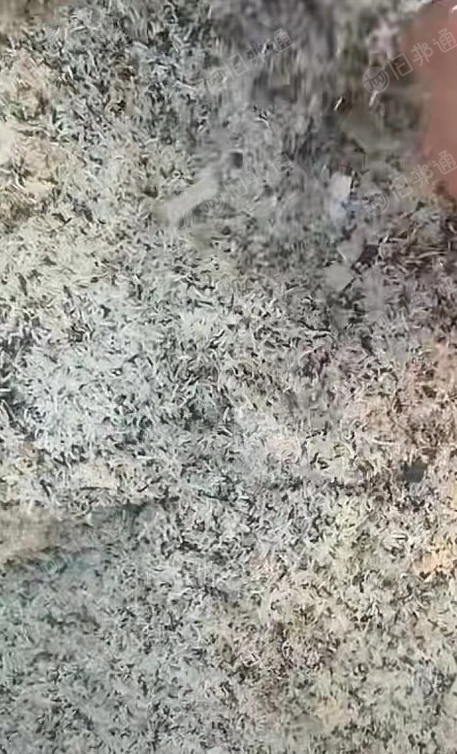 长期出售PVC封边条末