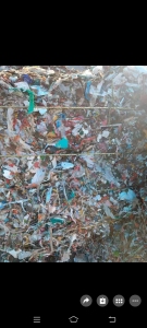 长期出售杂塑料纸，干净的