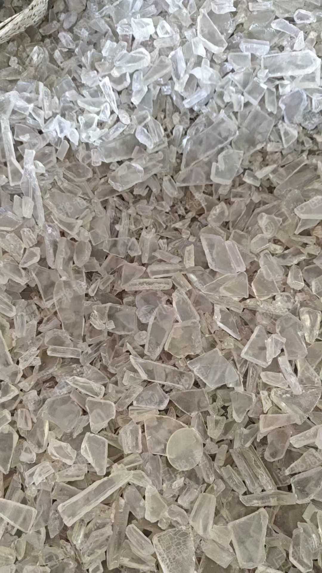 常年出售透明PC破碎料，透明白，色透都有