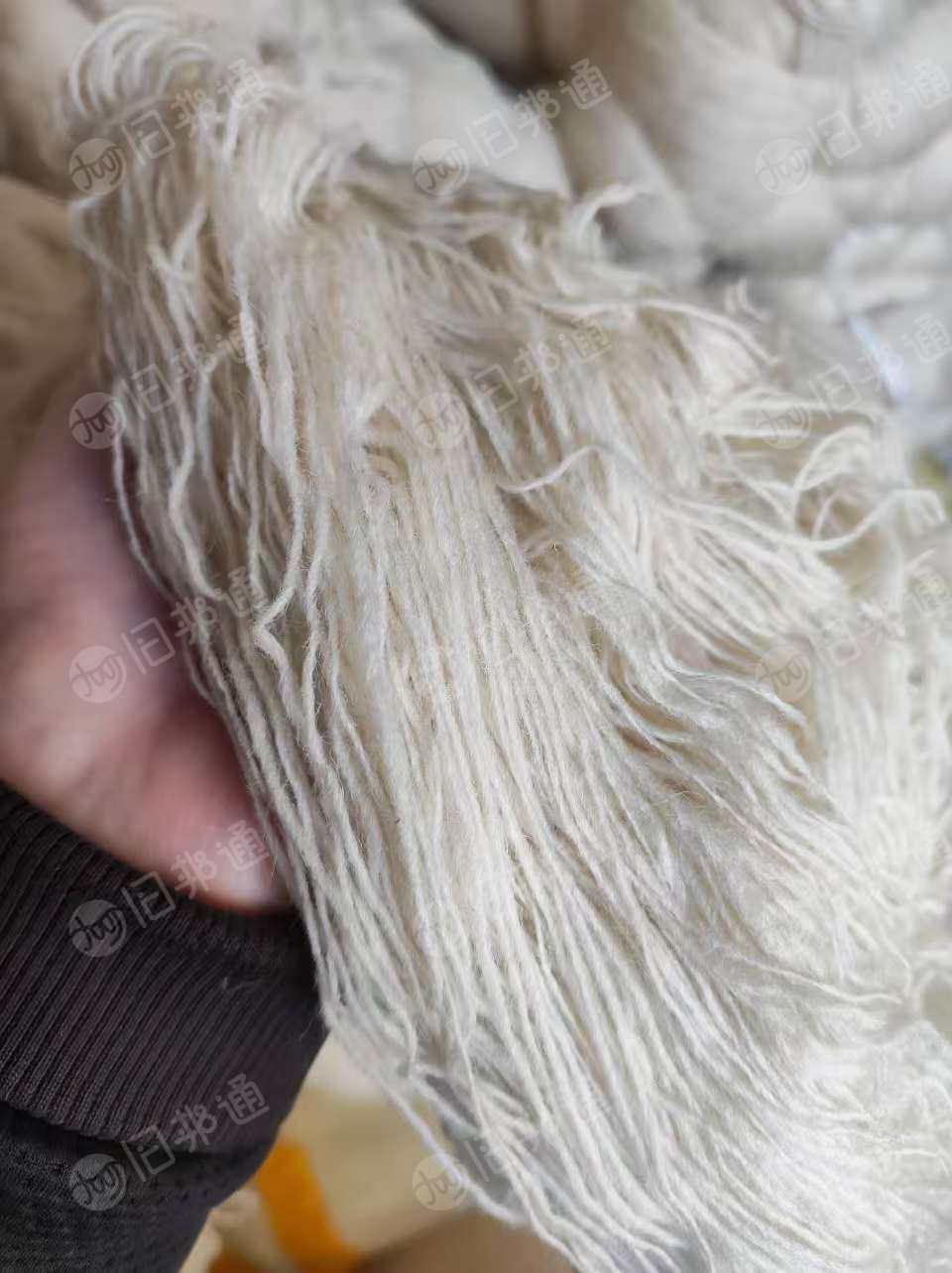 出售一批六支白胚羊毛地毯毛纱，六支染色羊毛纱，三支半染色羊毛纱