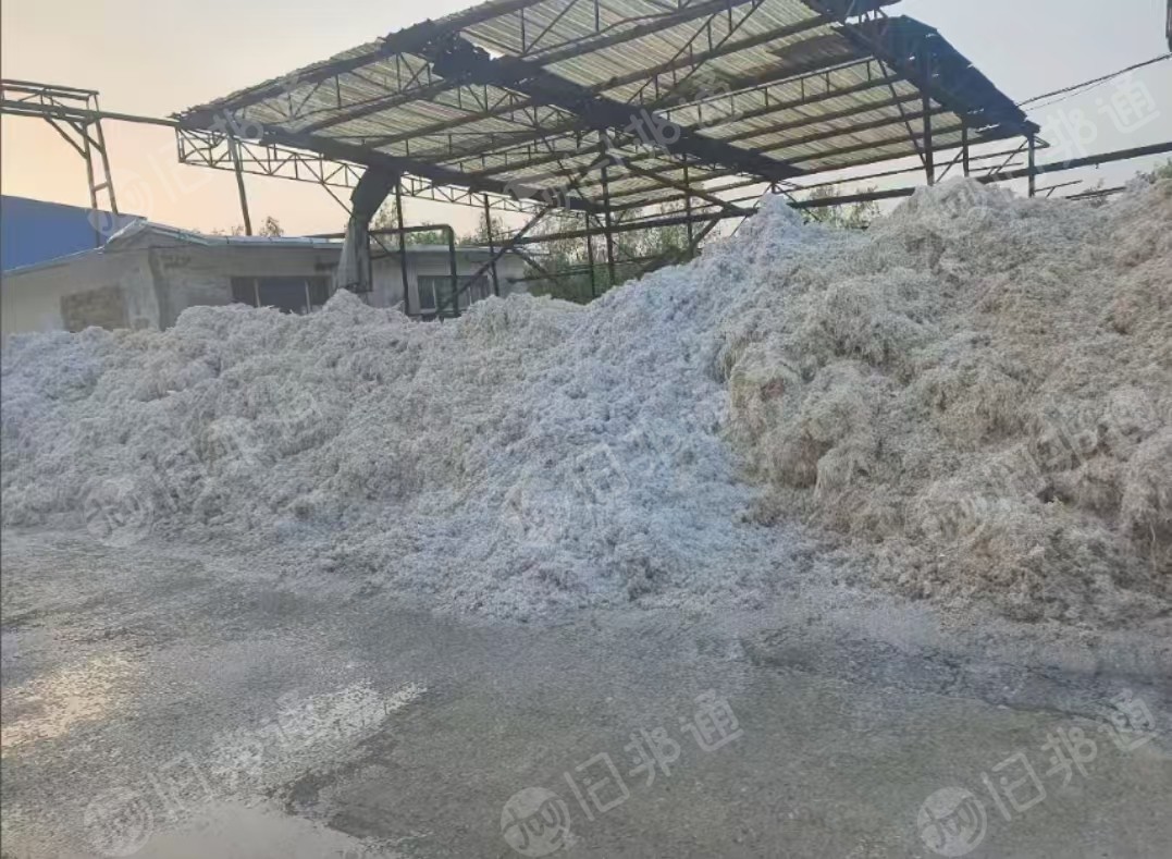 长期出售口杯纸膜
