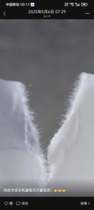 出售苹果手机白心白卡针叶浆的，无膜