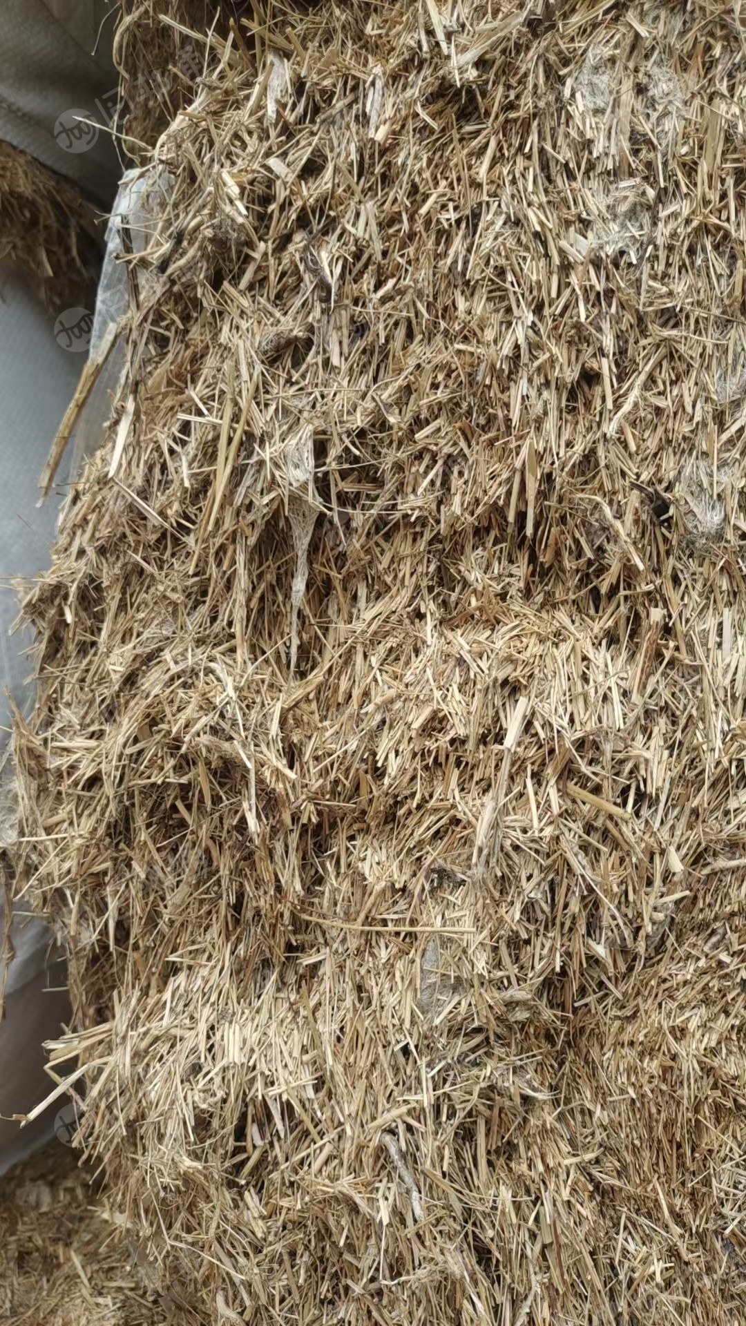 出售燃烧的麻料，现货30吨，货在江苏泰州