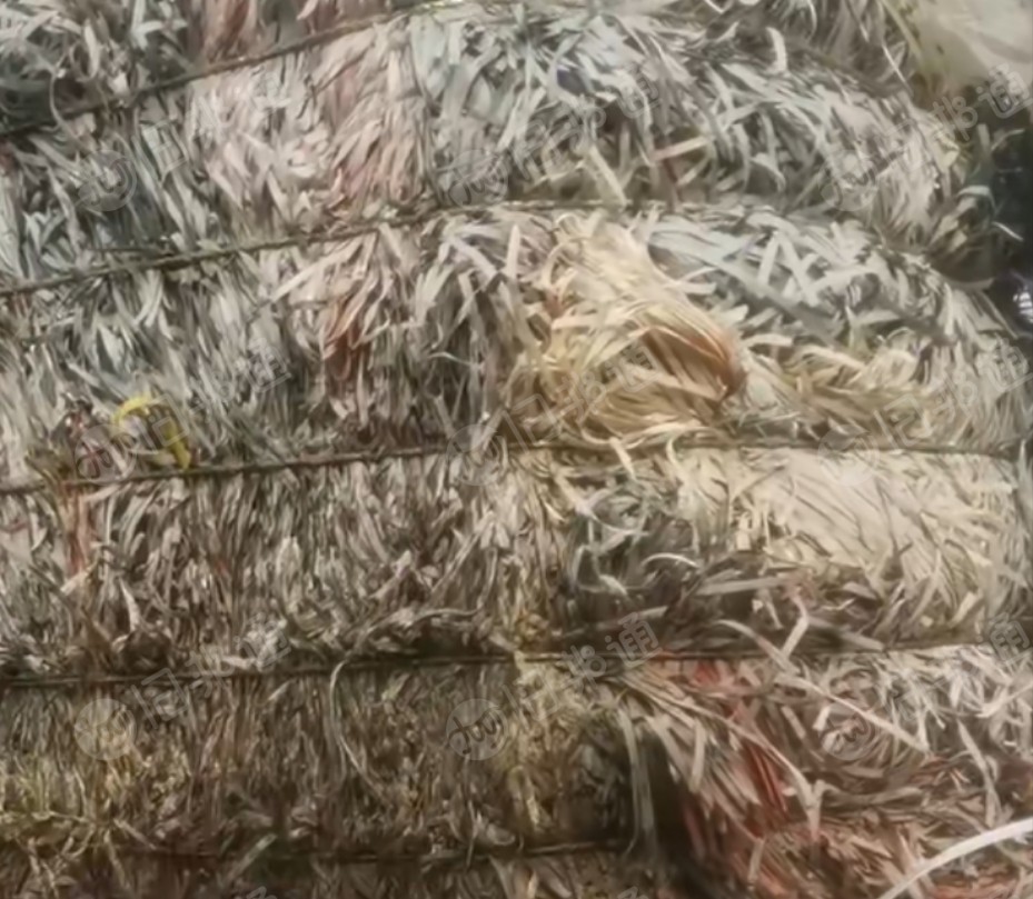 出售PP打包带毛料