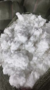 出售剪毛机器剪下来的白色纯涤纶毛毛料，涤纶剪毛料，含水10%，现货有8吨左右，货在浙江柯桥