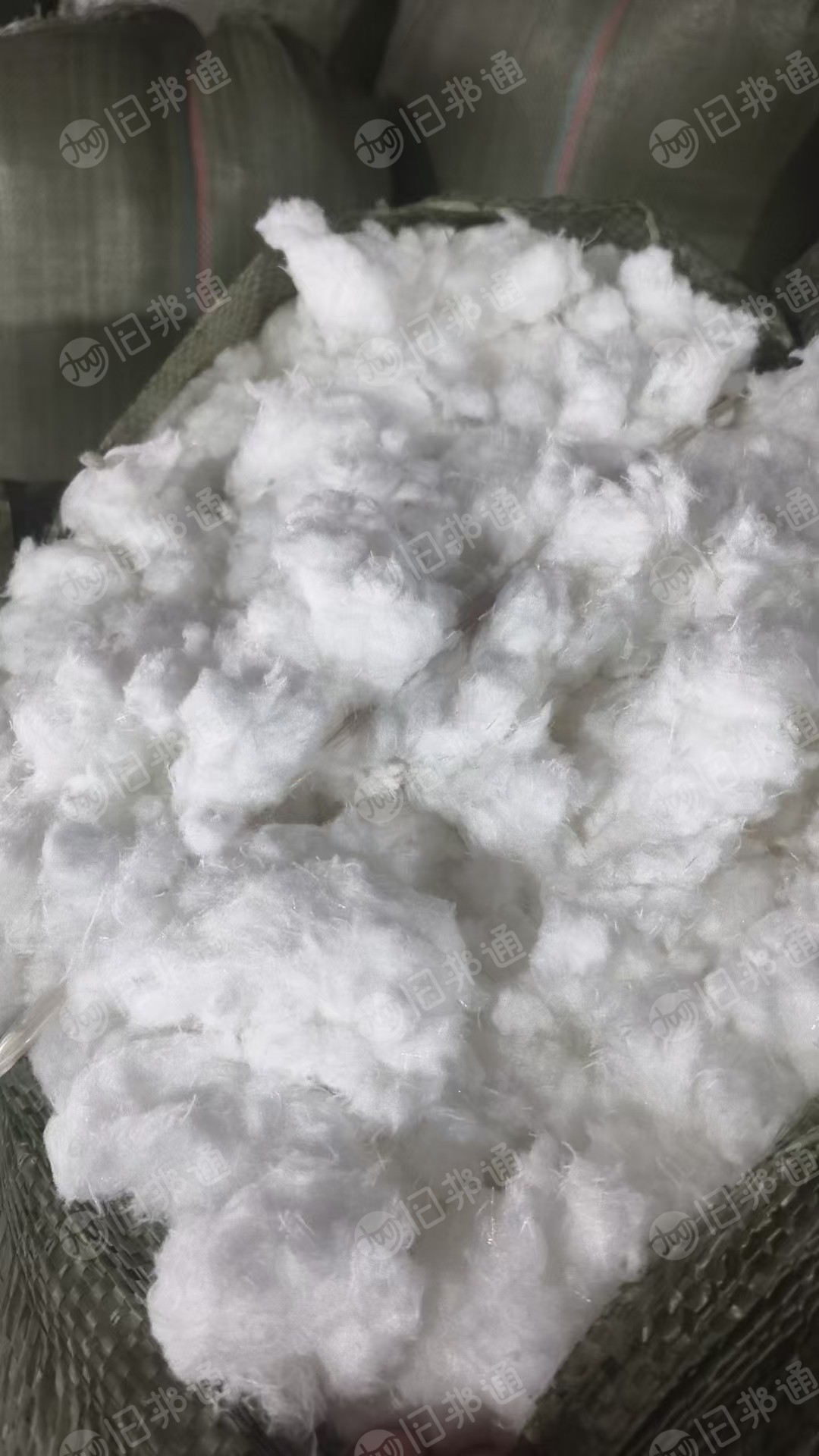 出售剪毛机器剪下来的白色纯涤纶毛毛料，涤纶剪毛料，含水10%，现货有8吨左右，货在浙江柯桥
