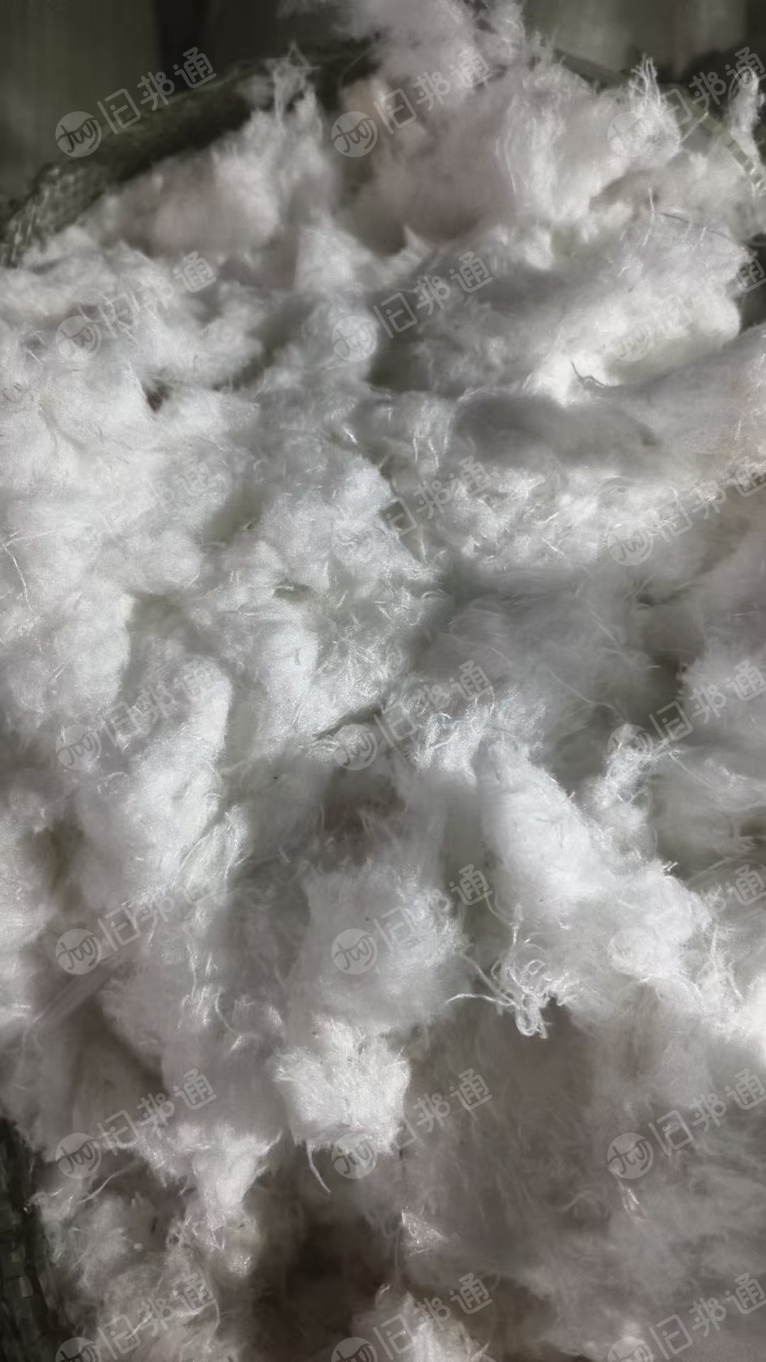 出售剪毛机器剪下来的白色纯涤纶毛毛料，涤纶剪毛料，含水10%，现货有8吨左右，货在浙江柯桥