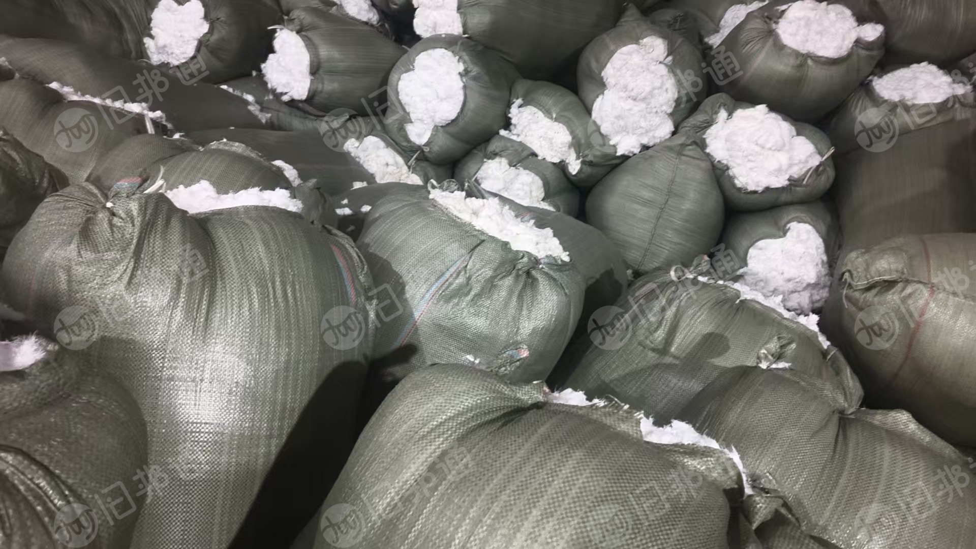 出售剪毛机器剪下来的白色纯涤纶毛毛料，涤纶剪毛料，含水10%，现货有8吨左右，货在浙江柯桥