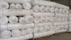 长期出售涤棉帆布,10支纱2*2,360克,幅宽1.55米,10万米白胚,厂在山东济南