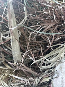 长期大量采购PP打包带毛料