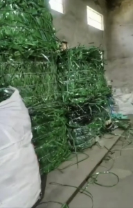 出售PET打包带毛料，长期有货