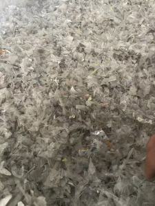 出售PET带商标破碎料