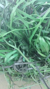 出售PET打包带毛料,长期有货