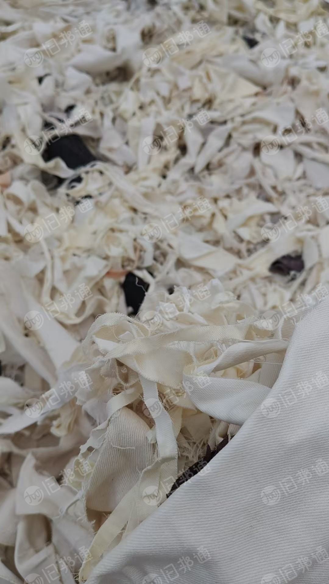 长期出售漂白好的牛仔碎布,牛仔废布,75棉,85棉,95棉,漂白晒干的混合一起的牛仔布 ,现货七八吨