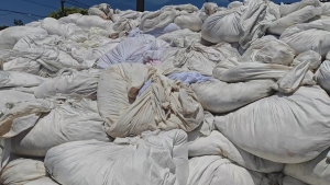 长期出售染厂下来的涤纶废布，涤纶边角料，现货13吨左右，含水分