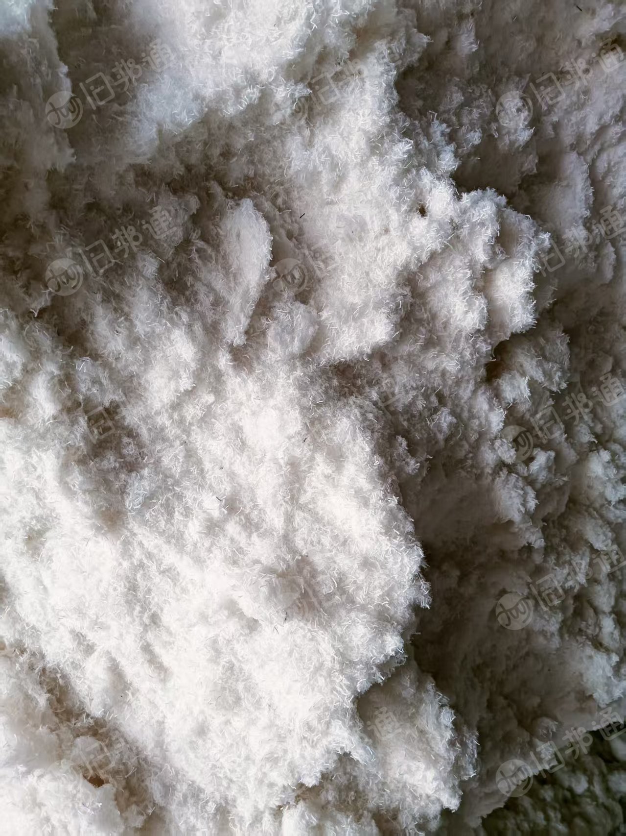 出售毛巾上剪下下来的毛毛料，涤棉毛毛料，货在江西萍乡
