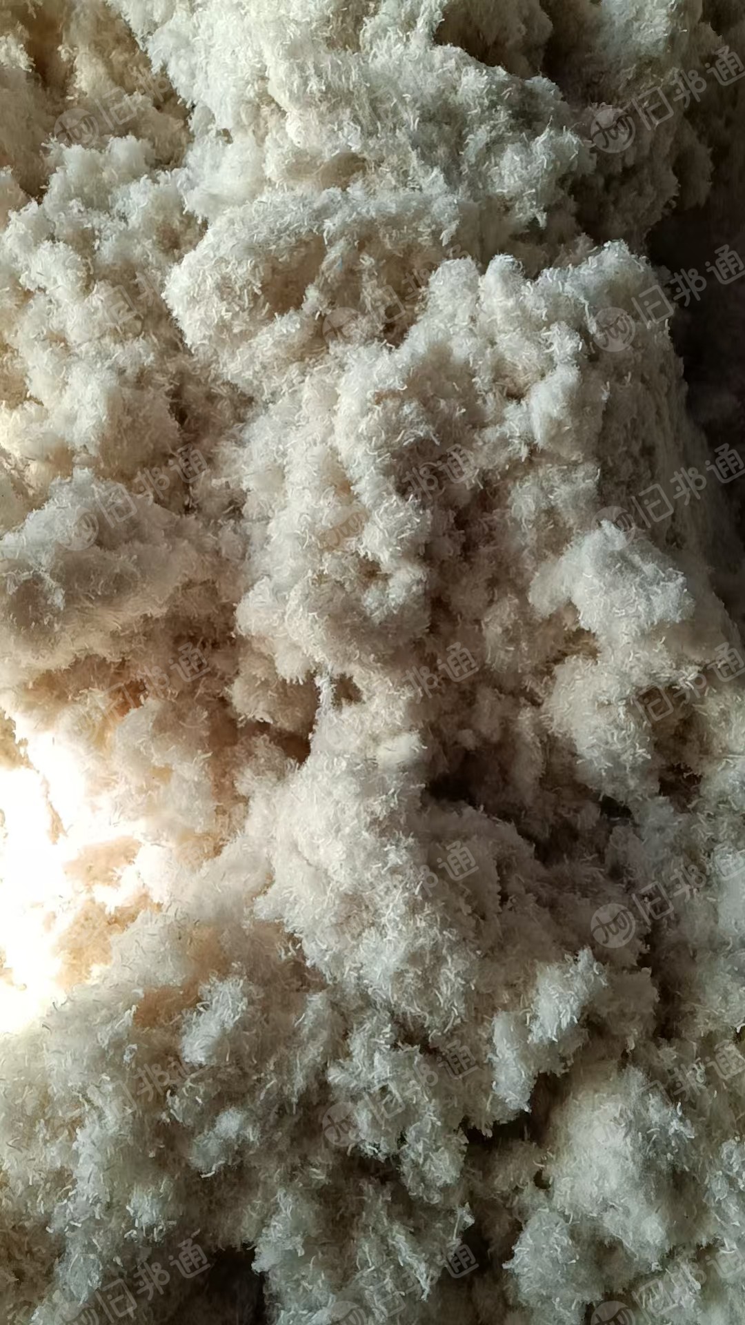 出售毛巾上剪下下来的毛毛料，涤棉毛毛料，货在江西萍乡