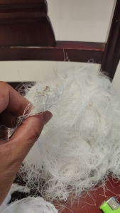 长期大量出售涤纶废丝，涤纶加捻丝，含水量百分之四十到四十五左右，月供200吨左右