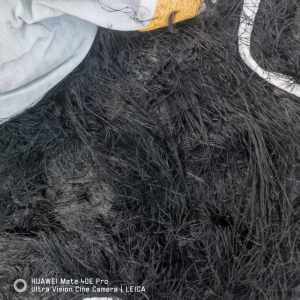 出售黑色的涤纶废丝，涤纶干丝，现货六七吨