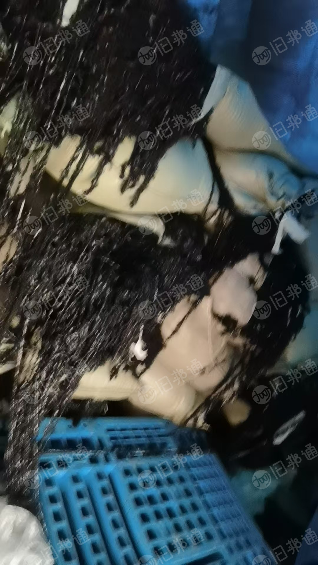 长期出售黑色的尼龙双6废丝，尼龙废丝，锦纶废丝，现货20吨左右