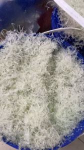 出售PC刨丝，长期供应