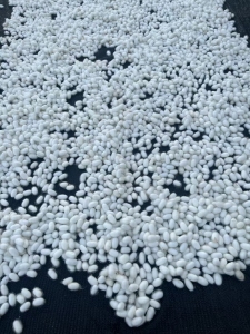 出售蚕茧，新蚕茧，货在贵州