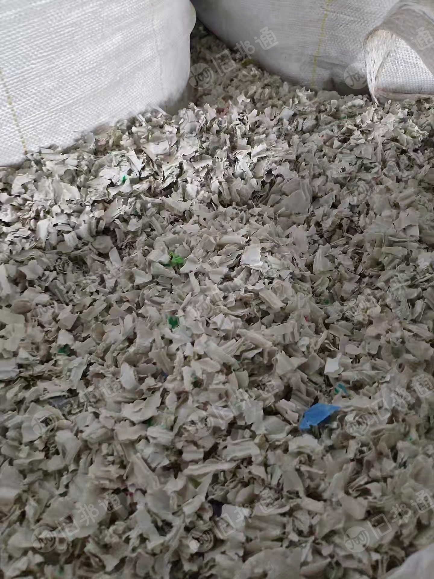 出售PP空心板破碎料，含钙粉