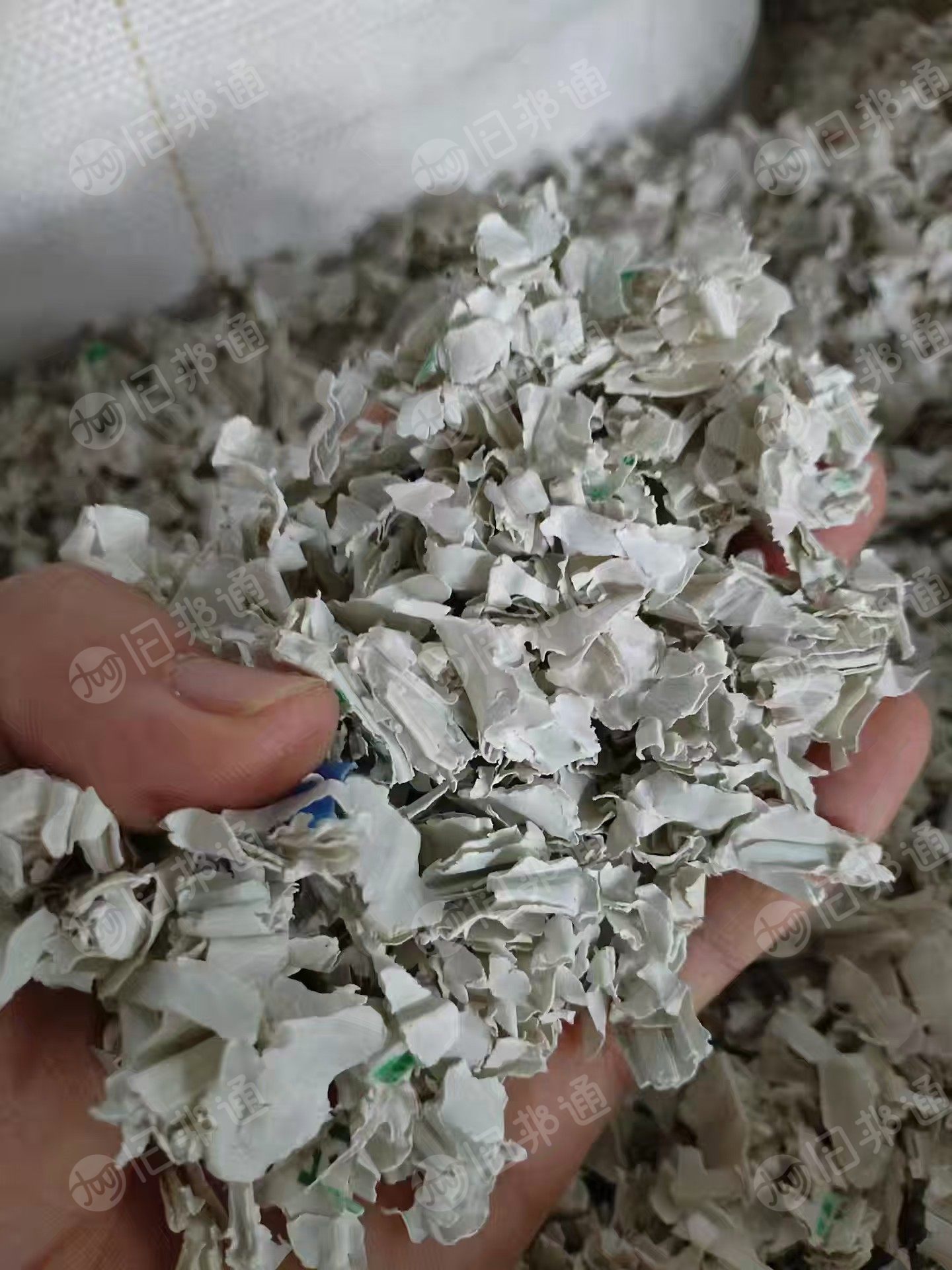 出售PP空心板破碎料,含钙粉