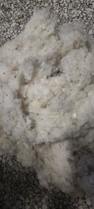 长期出售纺织厂下来的破籽棉,每个月有几十吨,货在河南平顶山