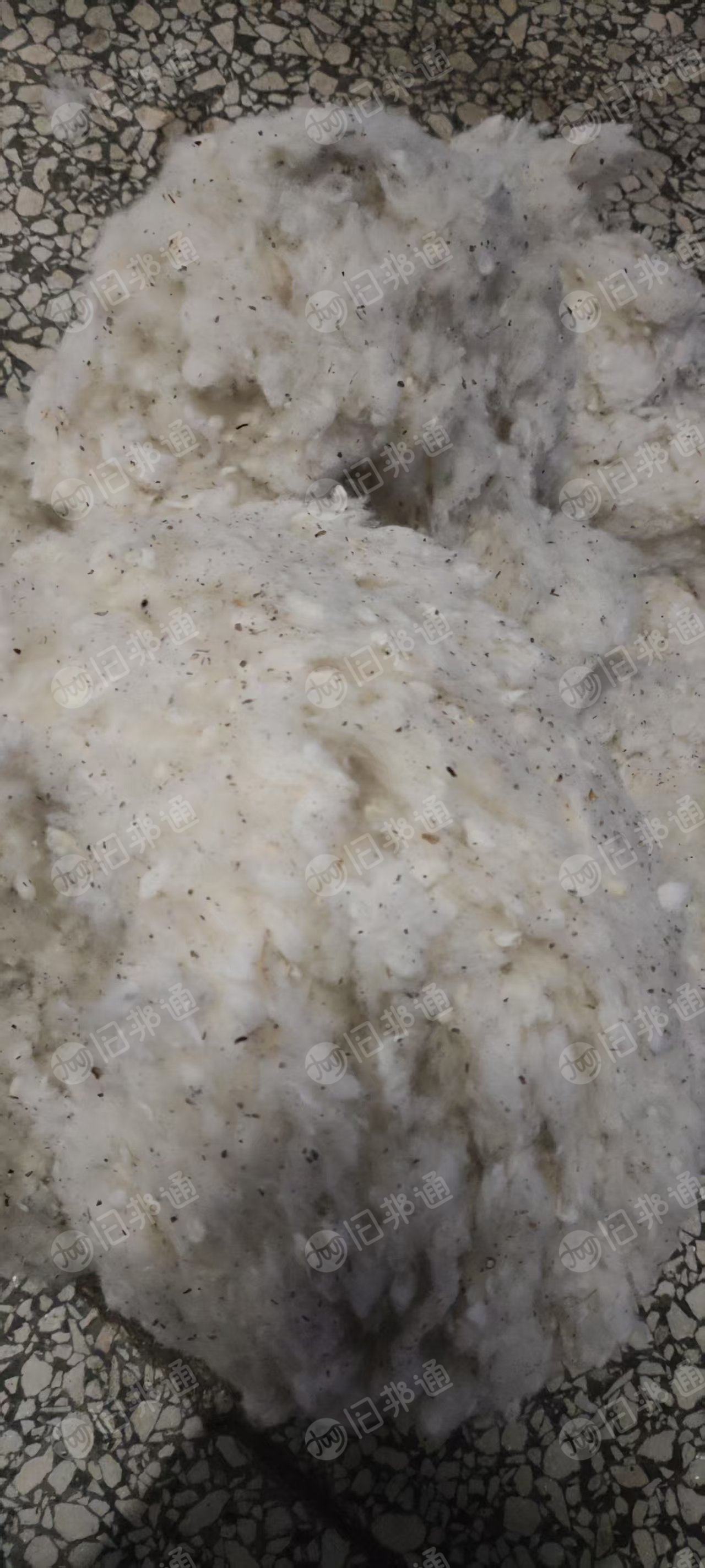 长期出售纺织厂下来的破籽棉,每个月有几十吨,货在河南平顶山