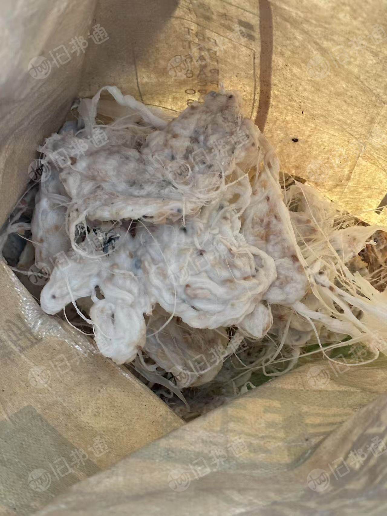 长期出售甲醛过滤网 滤网头 Pok聚丙混料