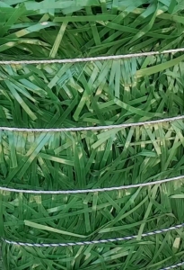 长期出售PET打包带废料