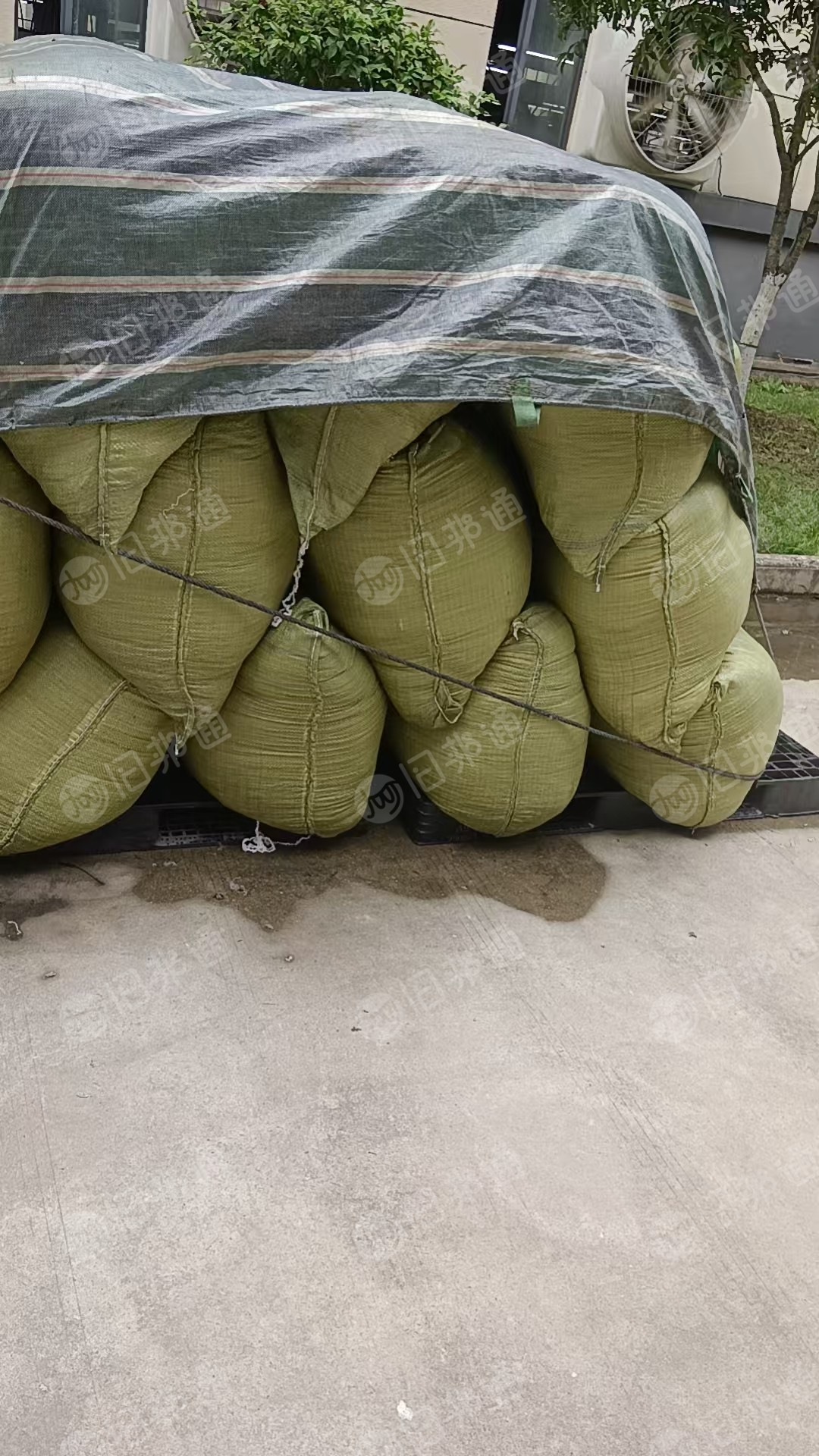 长期出售涤氨水丝，涤氨废丝，含水30%，现货10吨左右