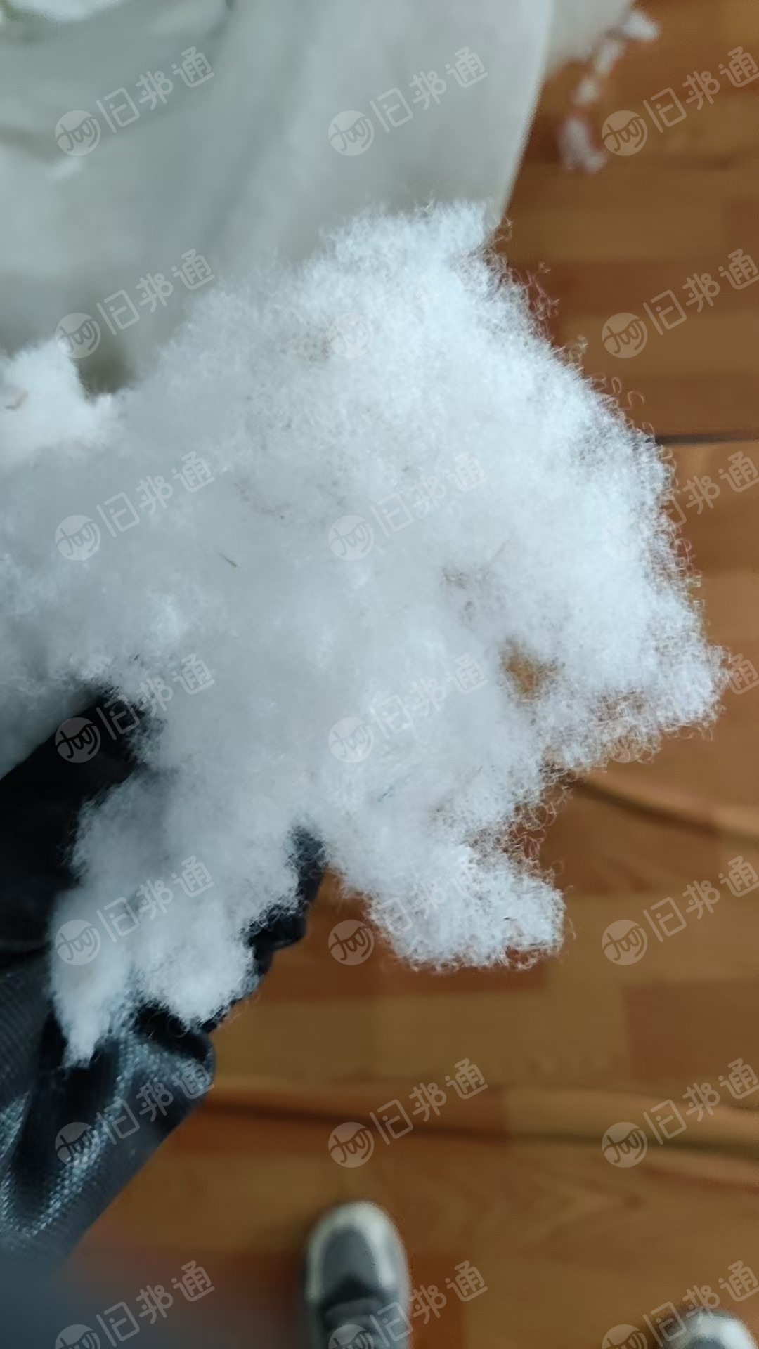 长期收购原生大化纤维，化纤棉，7D32，三维中空棉，做毛绒玩具用，月需几十吨，厂在河北保定