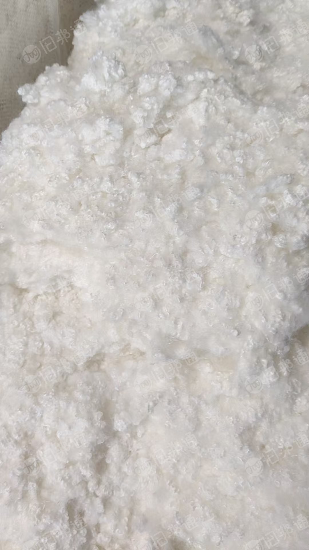 长期收购原生大化纤维，化纤棉，7D32，三维中空棉，做毛绒玩具用，月需几十吨，厂在河北保定