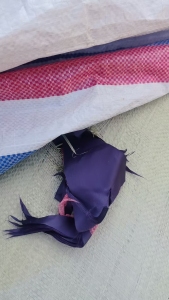 长期出售涤纶废布，涤纶造粒布，黑色一个月5-6吨， 白色一个月10吨左右， 厂在四川成都