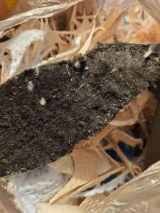 长期出售鞋垫下脚料，每个月有200-300吨，货在河北保定