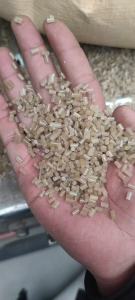 收购eps颗粒,茶透料,用来做挤塑板的,月需100吨