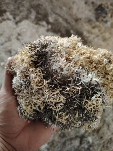求购PVC封边条、封边沫,用来磨粉用的,月需300吨