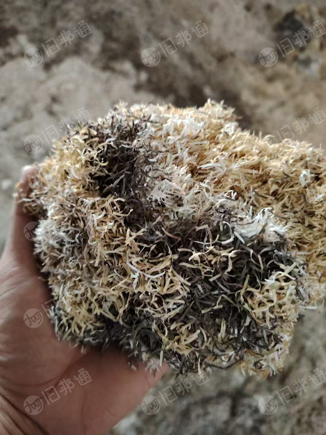 求购PVC封边条、封边沫，用来磨粉用的，月需300吨