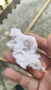 出售纺纱厂下来的纯棉废棉，纺纱厂下脚料