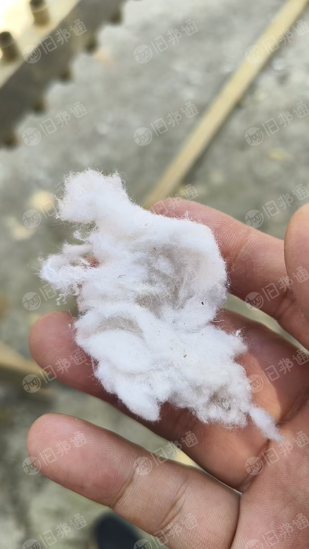 出售纺纱厂下来的纯棉废棉,纺纱厂下脚料