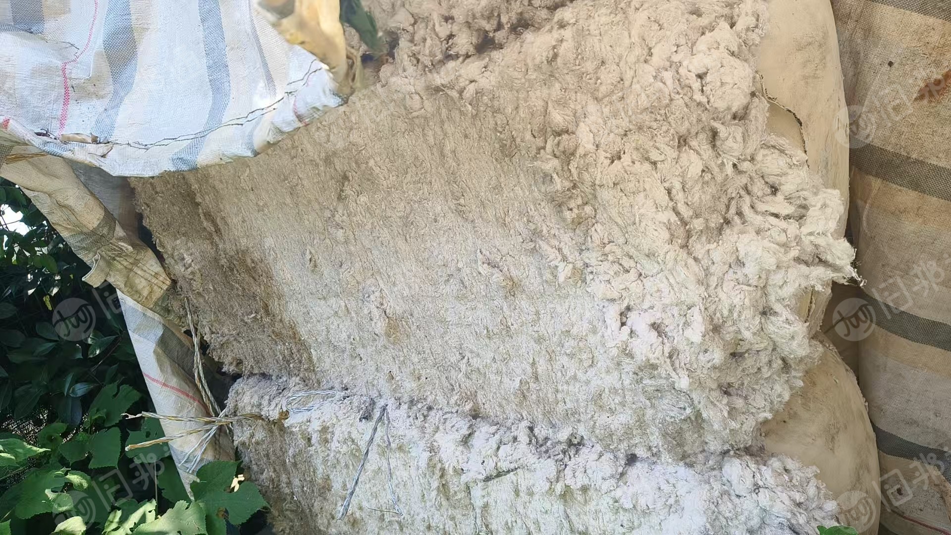 出售纺纱厂下来的纯棉废棉,纺纱厂下脚料