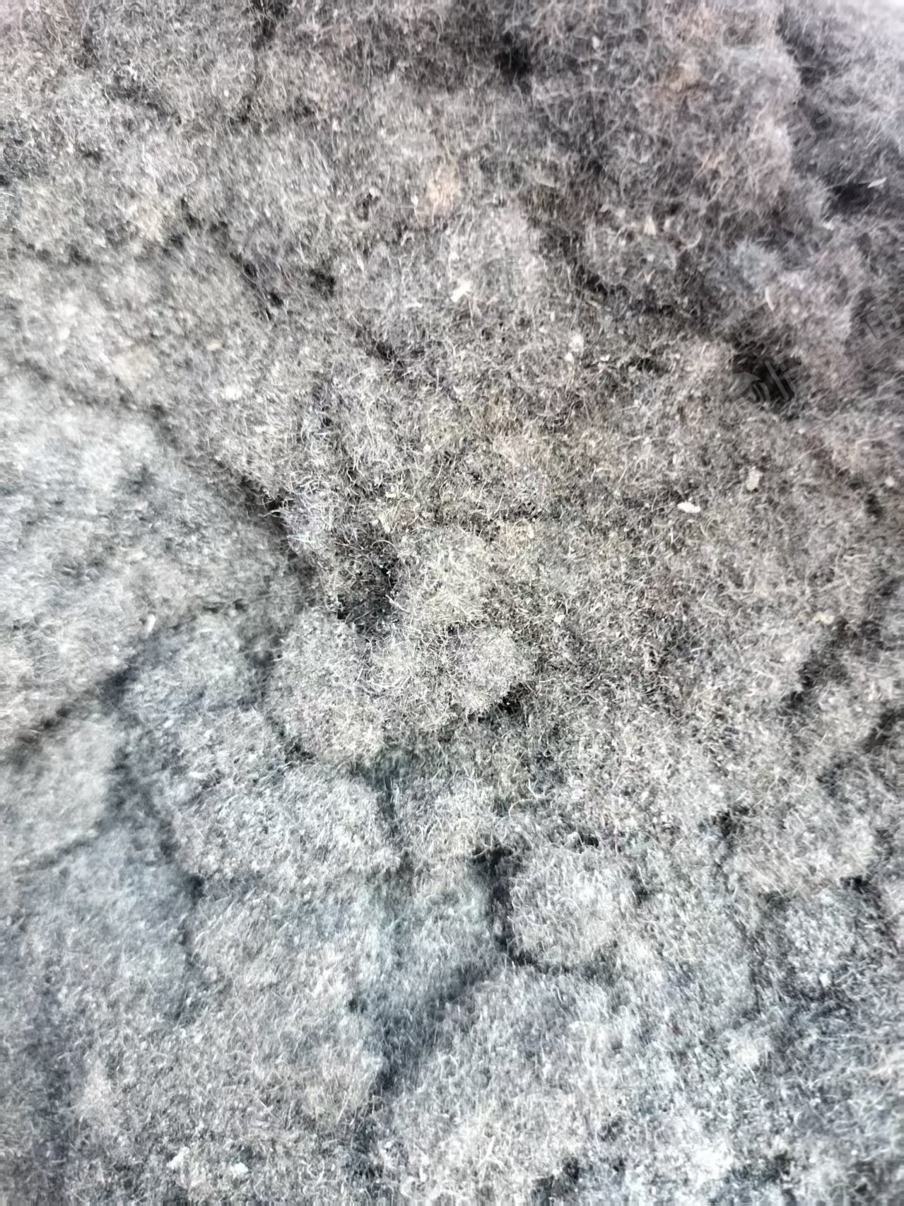 长期出售地毯厂下来的尼龙线磨毛料，毛毛料