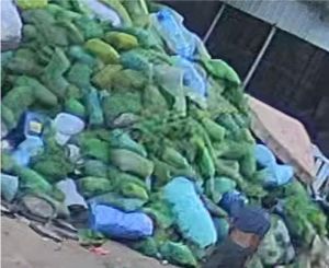 长期出售pe渔网，聚乙烯渔网，月供5吨左右