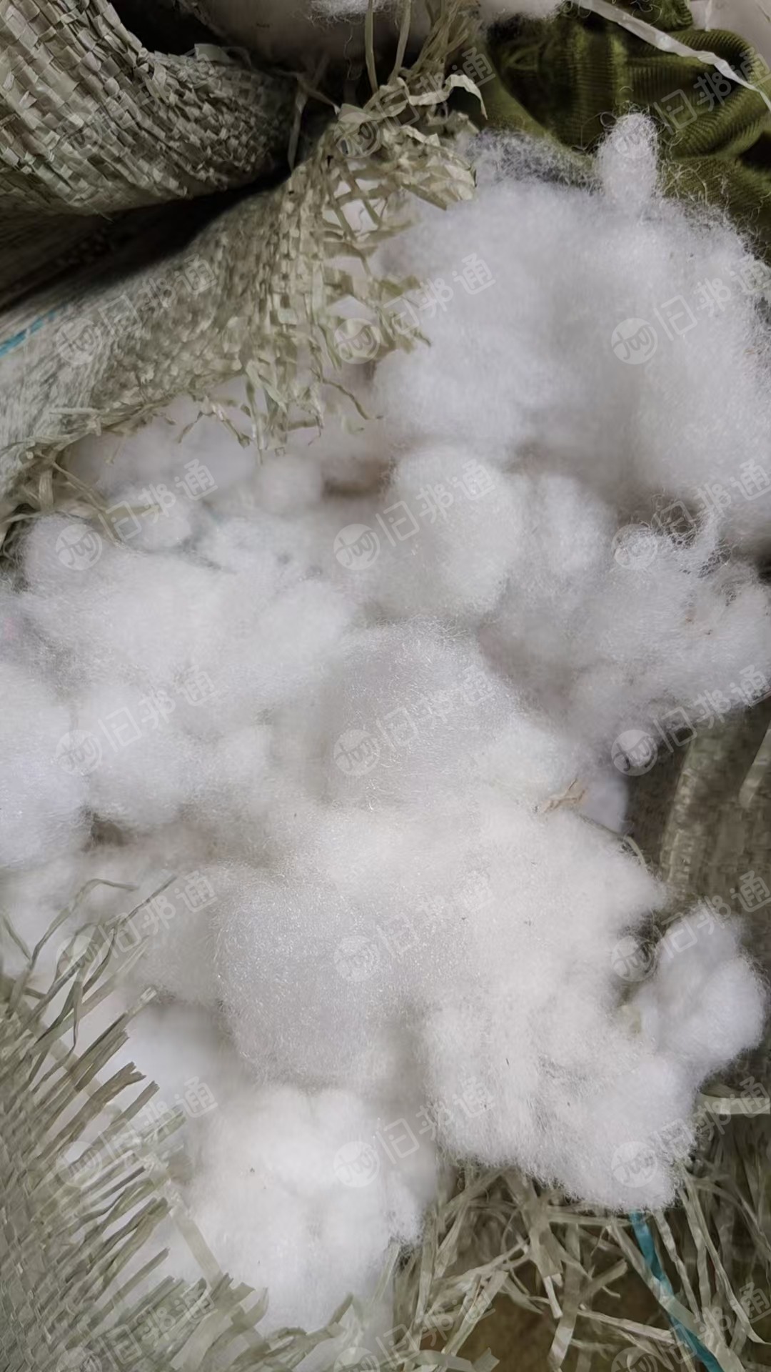 长期出售娃娃棉,现货10吨左右,可以开花用,厂在山东东营