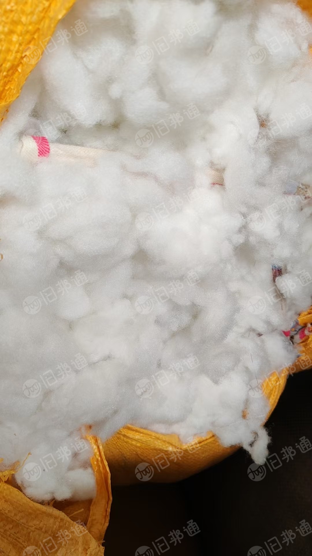 长期出售娃娃棉,现货10吨左右,可以开花用,厂在山东东营