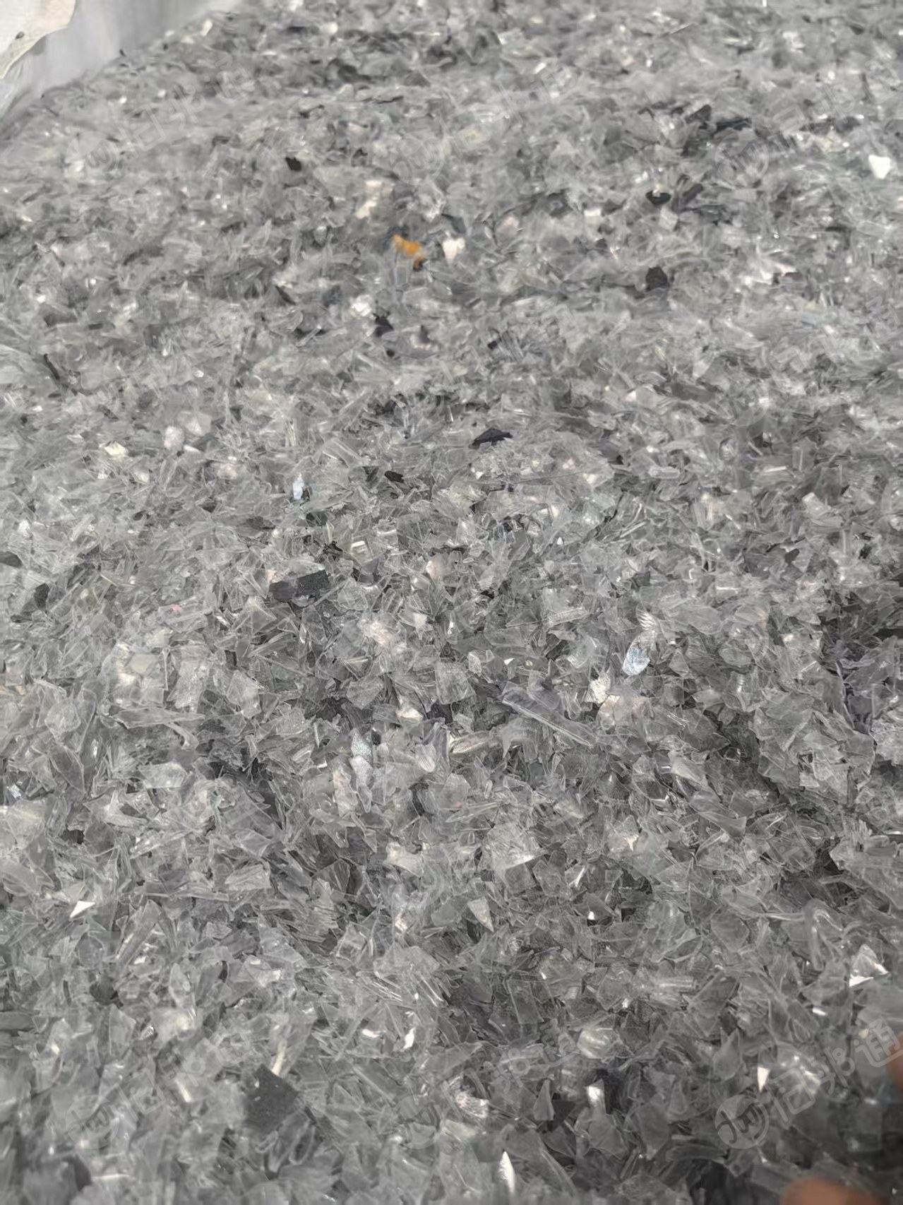 大量求购电子厂下来的带标带油带棉带膜的PET吸塑片破碎料